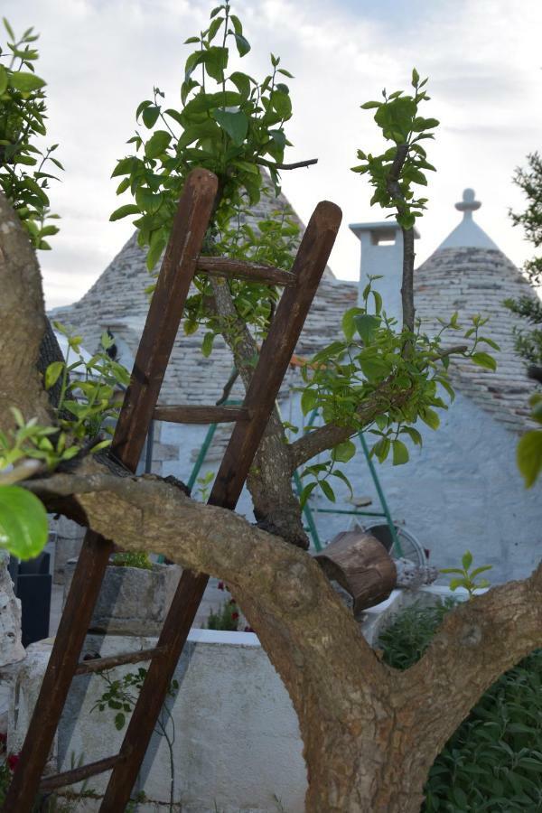 Trulli Di Una Volta Альберобелло Екстер'єр фото
